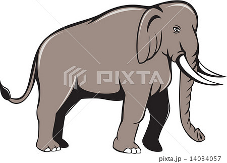 Indian Elephant Side View Cartoon Indian Elephant Side View Cartoon 14034057