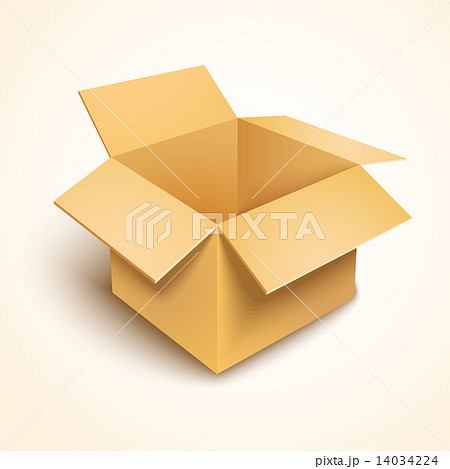 3d vector open cardboard box 3d vector open cardboard box 14034224