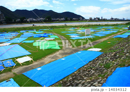 場所取り 14034312