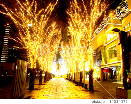 マークイズ 14034372