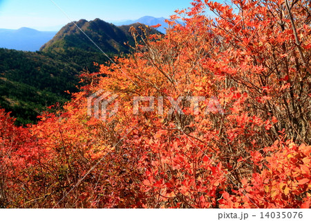 御坂山地・節刀ヶ岳の紅葉と王岳 14035076