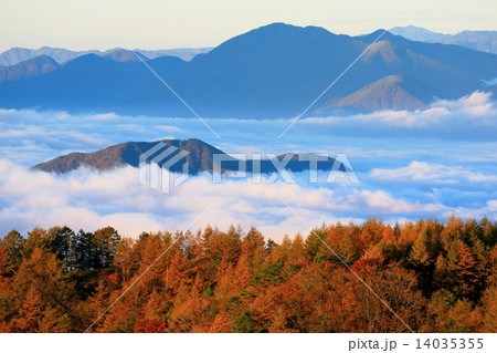 三つ峠から見る雲海に浮かぶ足和田山と毛無山 14035355