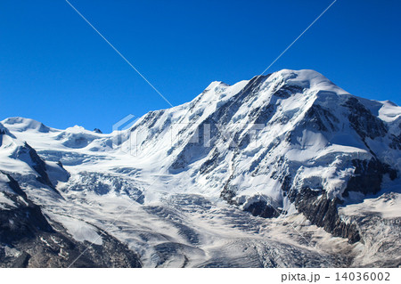 リスカム(スイス) リスカム(スイス) 14036002