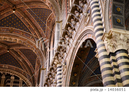 シエーナ大聖堂 14036051