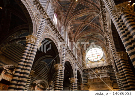 シエーナ大聖堂 14036052