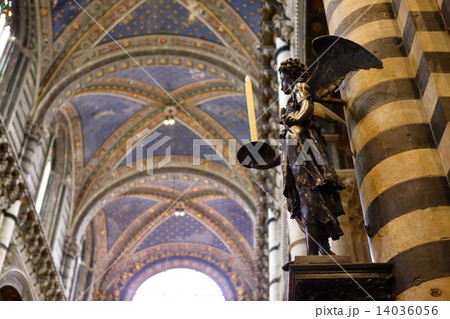 シエーナ大聖堂 14036056