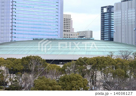 梅林園から見た大阪城ホール 14036127