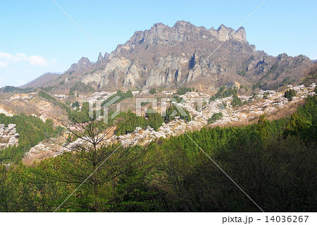 妙義山麓さくらの里全景 14036267