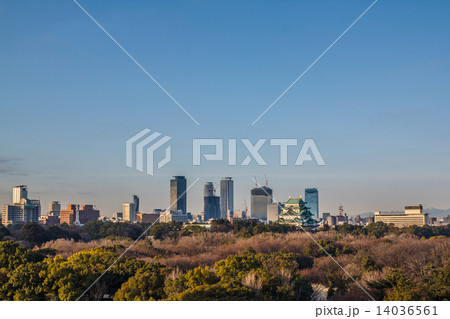 名古屋城と高層ビル群 名古屋城と高層ビル群 14036561