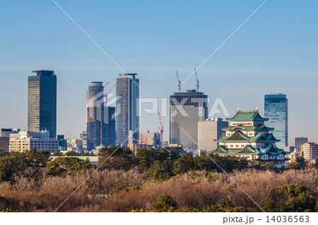 名古屋城と建設中高層ビル 14036563