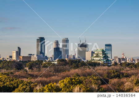 名古屋城と高層ビル群 14036564