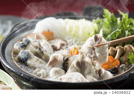 てっちり 14036922