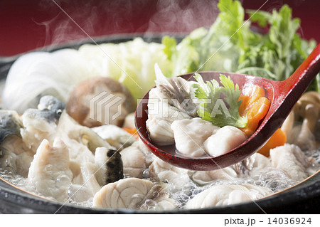 てっちり 14036924