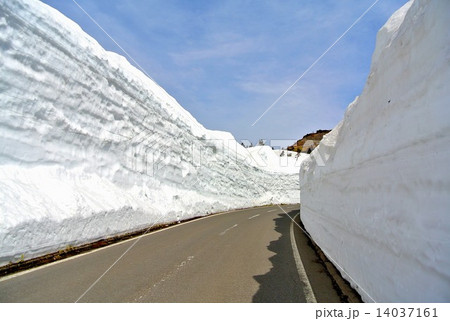 雪の回廊 14037161