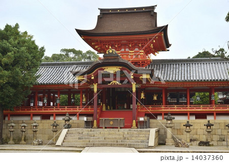 石清水八幡宮 14037360