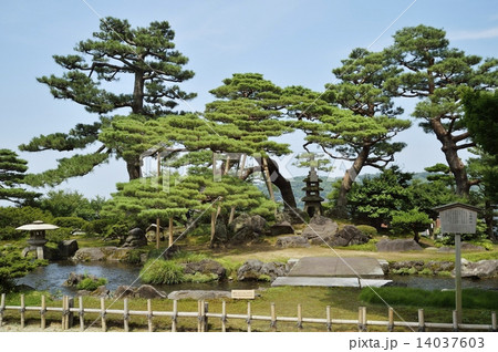 兼六園 七福神山 14037603
