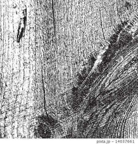 Very Grainy Wood Texture 14037661
