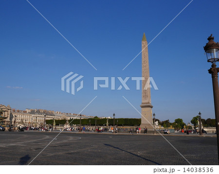 オリベスク 14038536