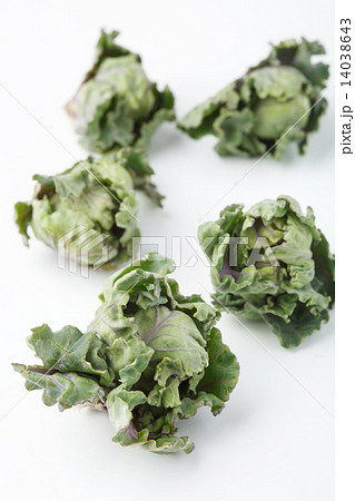 プチヴェール 14038643