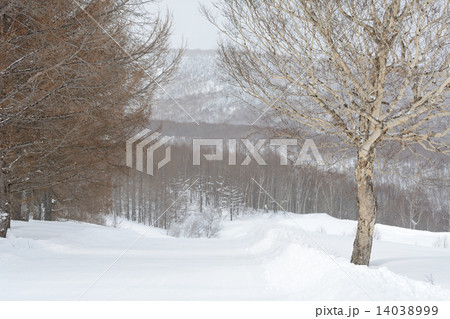 冬の奥志賀高原 冬の奥志賀高原 14038999