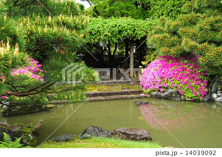 京都 城南宮の春 京都 城南宮の春 14039092