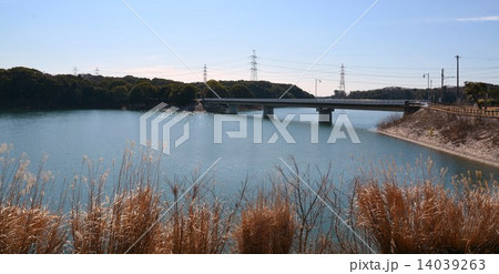 佐布里池梅林 佐布里池梅林 14039263