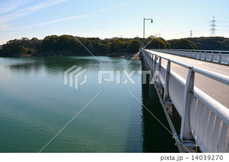 佐布里池梅林 14039270