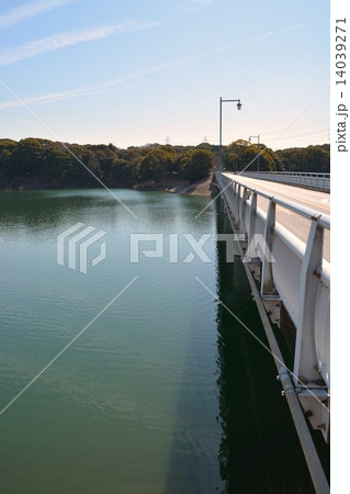 佐布里池梅林 14039271