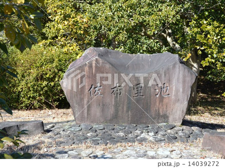 佐布里池梅林 14039272