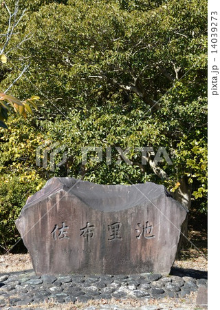 佐布里池梅林 14039273