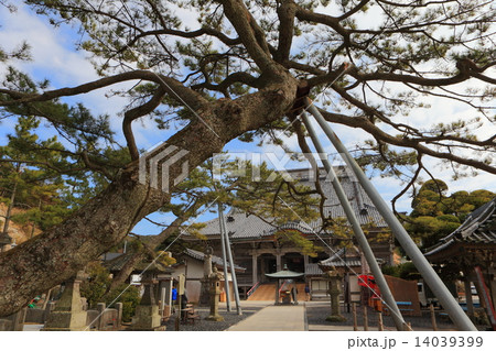 大本山小湊誕生寺 祖師堂 大本山小湊誕生寺 祖師堂 14039399
