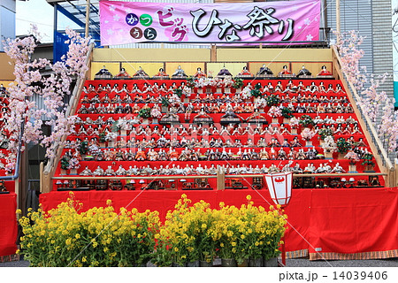 かつうらビッグひな祭り 14039406