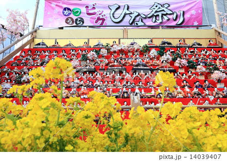 かつうらビッグひな祭り 14039407