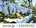 おみくじ 14040382