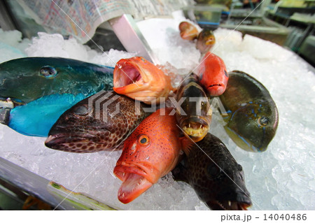 沖縄の魚市場 沖縄の魚市場 14040486