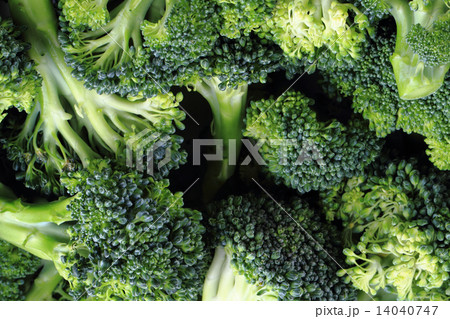 fresh green broccoli as food background fresh green broccoli as food background 14040747