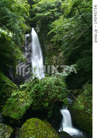 長沢の滝 長沢の滝 14040756