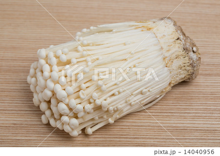 エノキダケ エノキダケ 14040956