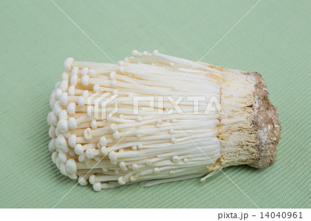 エノキダケ 14040961