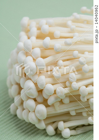 エノキダケ エノキダケ 14040962