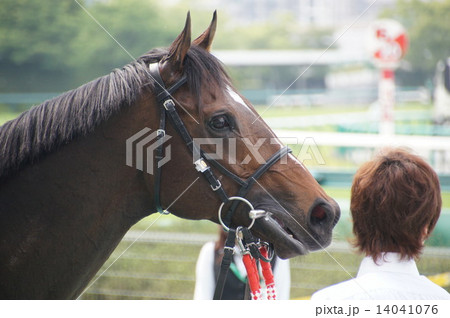 ウィナーズサークル 14041076