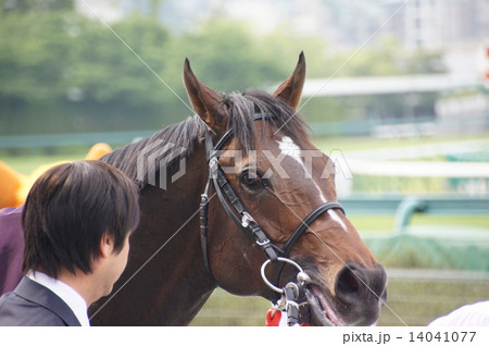 ウィナーズサークル 14041077