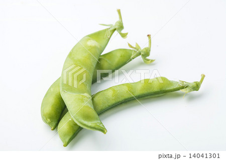 サトウサヤエンドウ 14041301