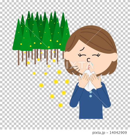 花粉症の女性とスギ花粉 くしゃみ 花粉症の女性とスギ花粉 くしゃみ 14042909