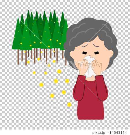 An elderly woman with hay fever and cedar pollen runny nose An elderly woman with hay fever and cedar pollen runny nose 14043154