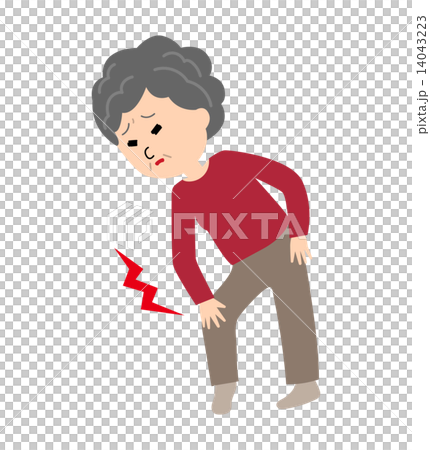 An elderly woman suffering from knee joint pain An elderly woman suffering from knee joint pain 14043223