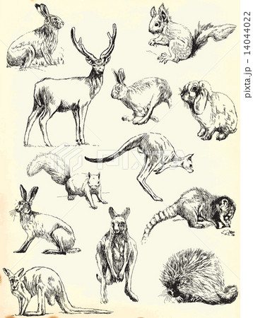 animals pack 14044022