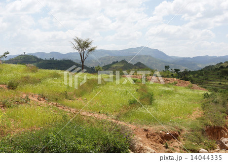 Konso, Ethiopia, Africa Konso, Ethiopia, Africa 14044335
