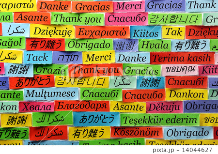 Thank You Thank You 14044627