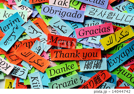 Thank You Thank You 14044742